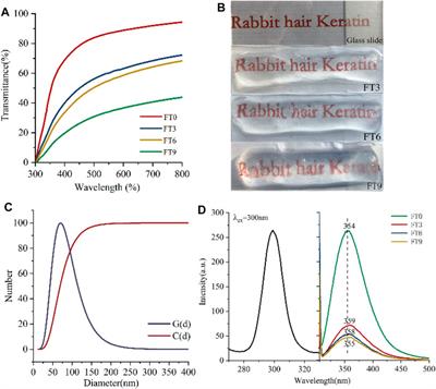 Low Concentration and High Transparency Keratin Hydrogel Fabricated via Cryoablation